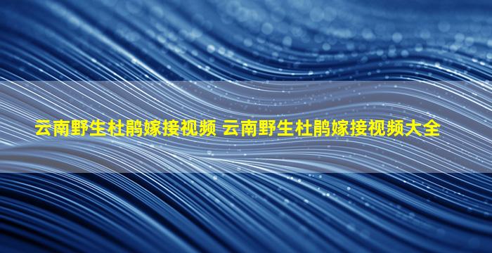 云南野生杜鹃嫁接视频 云南野生杜鹃嫁接视频大全